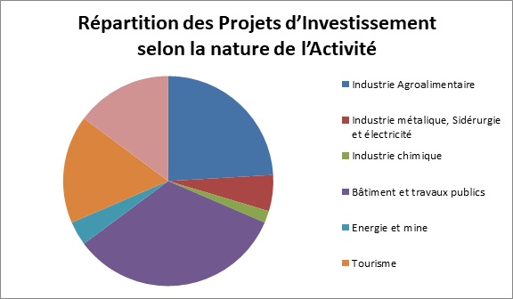 •	 Graphique présente la répartition des projets d’investissement selon la nature de l’Activité : 